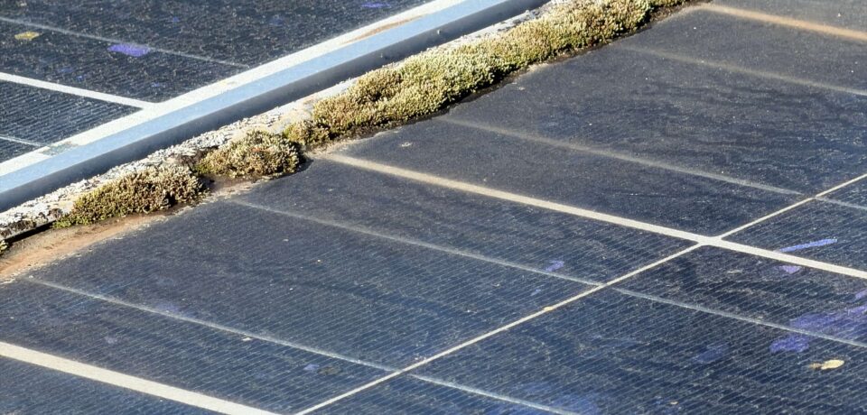 Residential solar panels on a San Diego home after rainfall