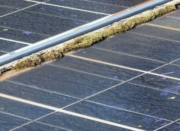 Residential solar panels on a San Diego home after rainfall