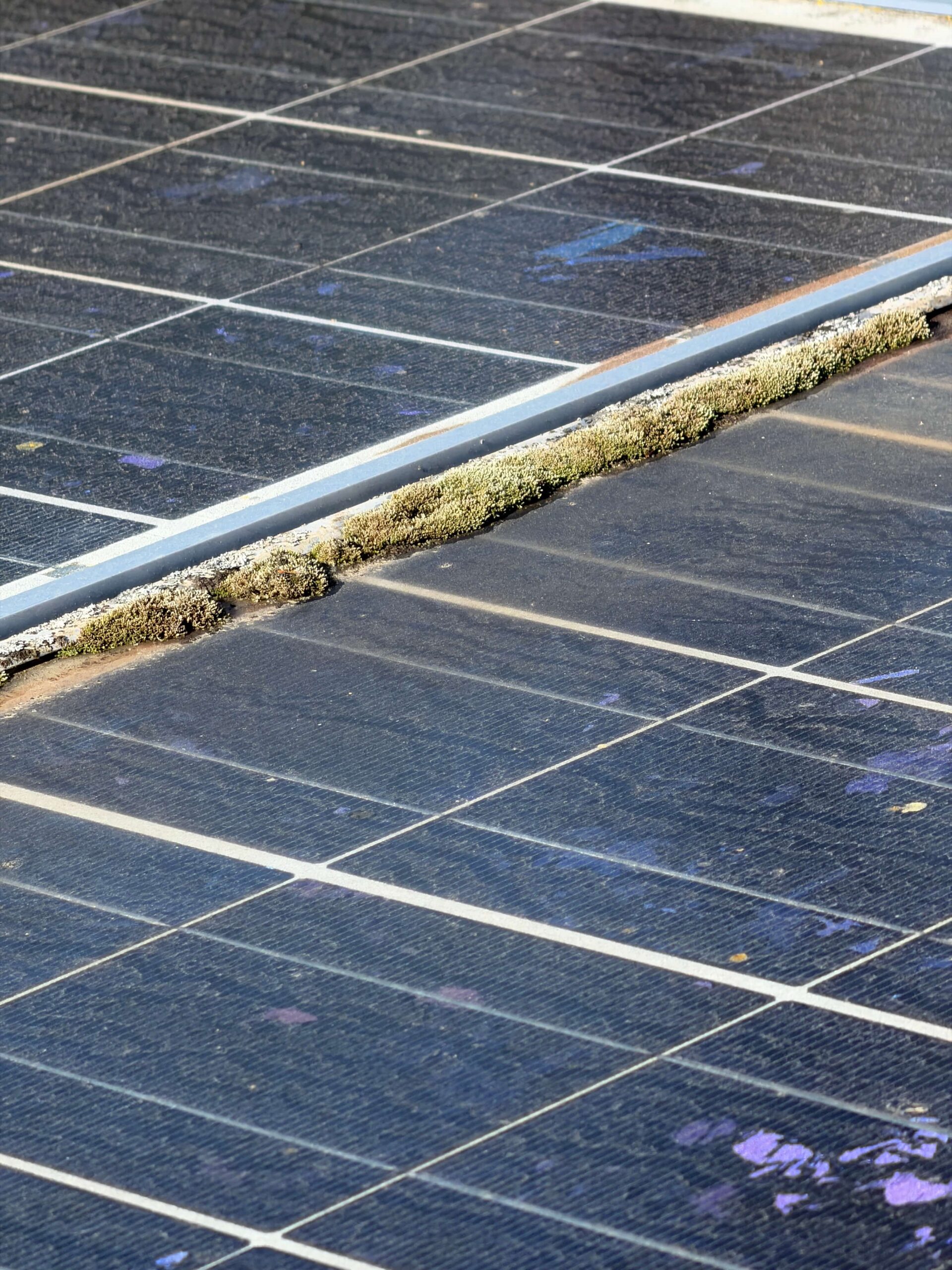 Residential solar panels on a San Diego home after rainfall